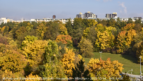 15.10.2025 - goldener Oktober mit Blick auf das Marx-Zentrum und Wohnanlage am Karl-Marx-Ring 52-62